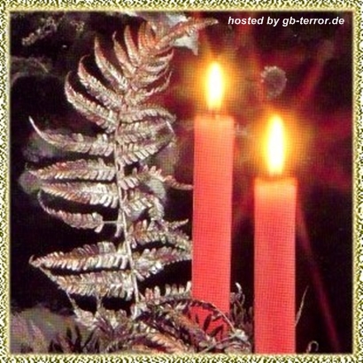 Zweiter Advent Gaestebuch Bild