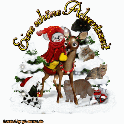 3. Advent Gaestebuch Eintrag