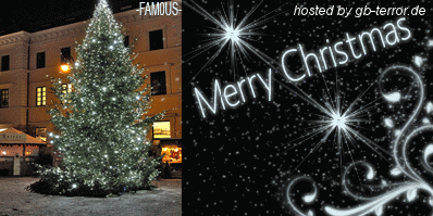 Frohe Weihnachten Gaestebuch Bild