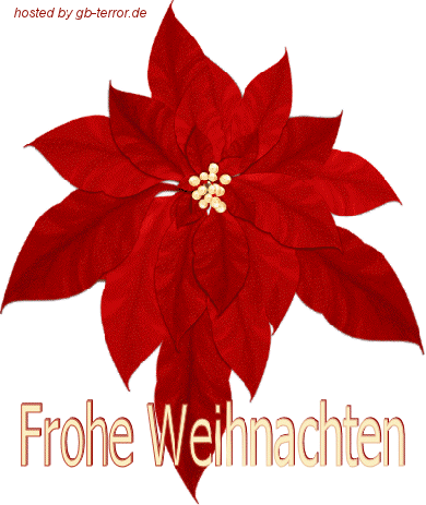 Frohe Weihnachten Gaestebucheintrag