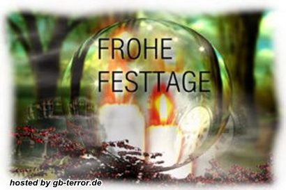 Frohes Fest Gaestebuch Bild