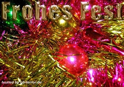 Frohes Fest Gaestebuch Bild