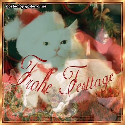 Frohes Fest Gaestebuch Pic