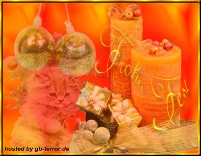 Frohes Fest Gästebuchbild