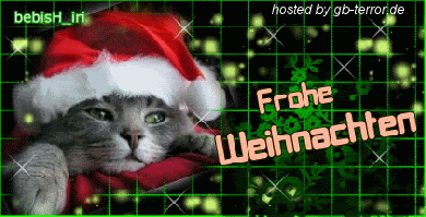 Gästebuch Eintrag Frohe Weihnachten