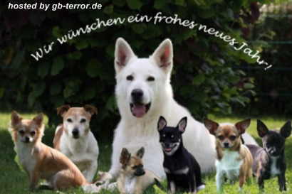 GB Pic zum Neuen Jahr