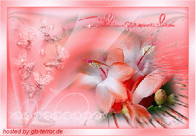 Frühling Gästebuchbild