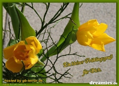 Fruehlingsgruesse GB Bild