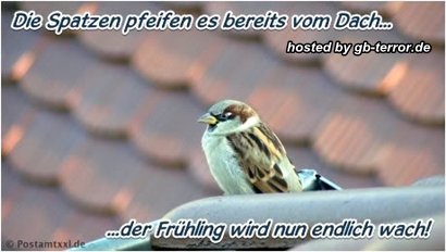 Gaestebucheintrag Frühling