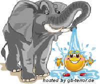 Sommer Gästebuchbild