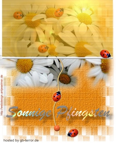 Gaestebuch Bild zu Pfingsten