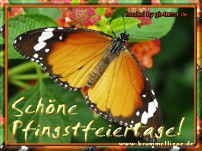 Gaestebuch Bild zu Pfingsten