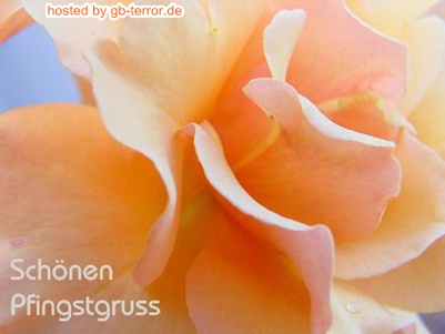 Gästebuchbild Pfingsten