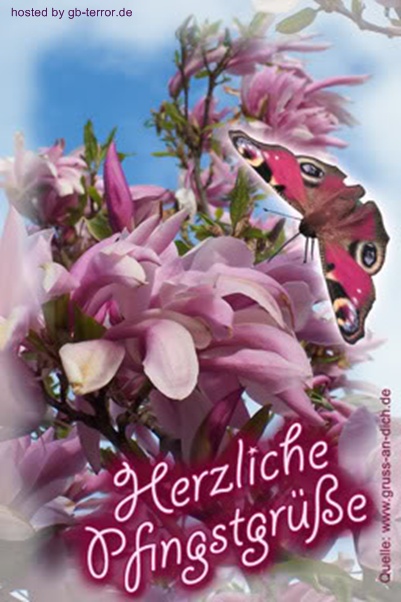 Gaestebuchbild Pfingsten