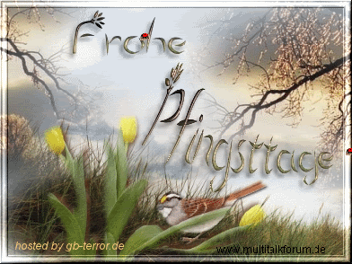GB Bild Frohe Pfingsten