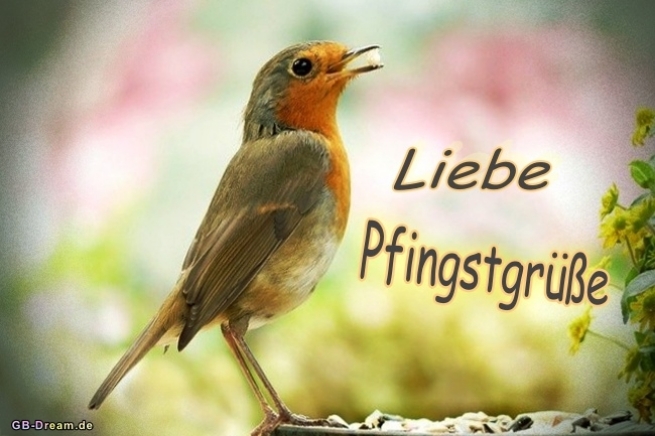Liebe Pfingstgrüsse