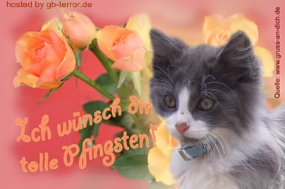 Pfingstgrüsse GB Bild