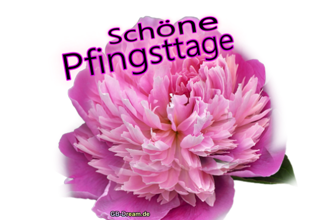 Schöne Pfingsttage