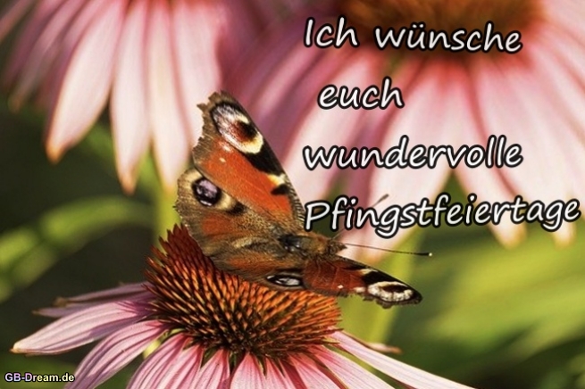 Wundervolle Pfingstfeiertage