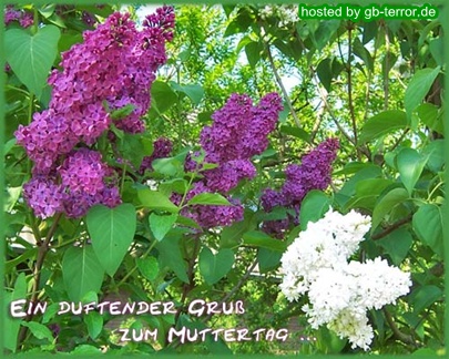 GB Pic zum Muttertag