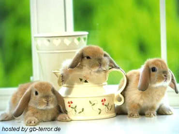 Frohe Ostern GB Pic
