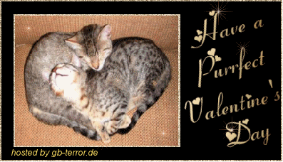 Valentinstag Gaestebuchbild