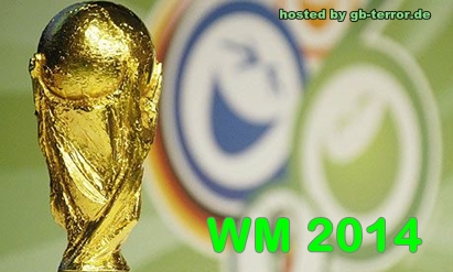 Fussball WM 2014