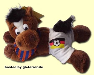 Fussball WM Facebook Bild