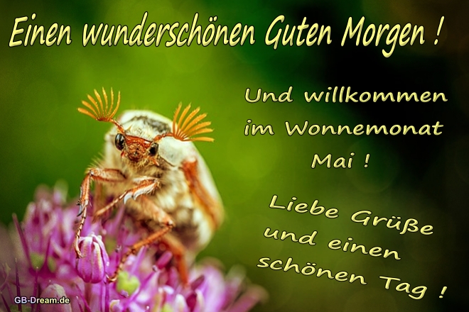 Guten morgen Wonnemonat Mai