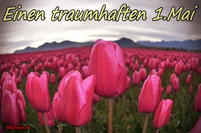 Traumhaften 1.Mai