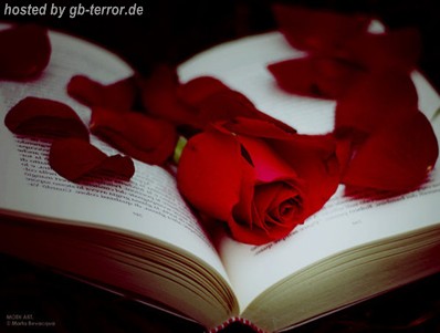 Blumen Gaestebuchbild