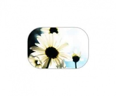 Blumen Gaestebuchbild