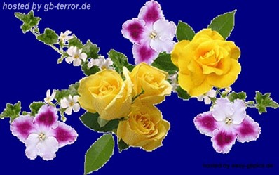 Blumen GB Bild